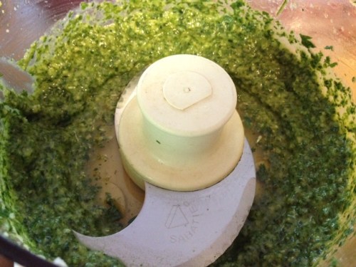 Carrot Top Pesto 4
