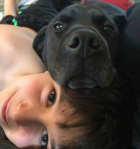 26993656_10213452942551698_7113101476601647991_n